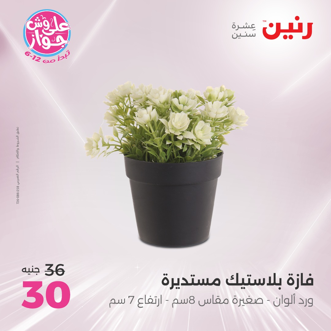 raneen offers from 24jun to 25jun 2025 عروض رنين من 24 يونيو حتى 25 يونيو 2025 صفحة رقم 12